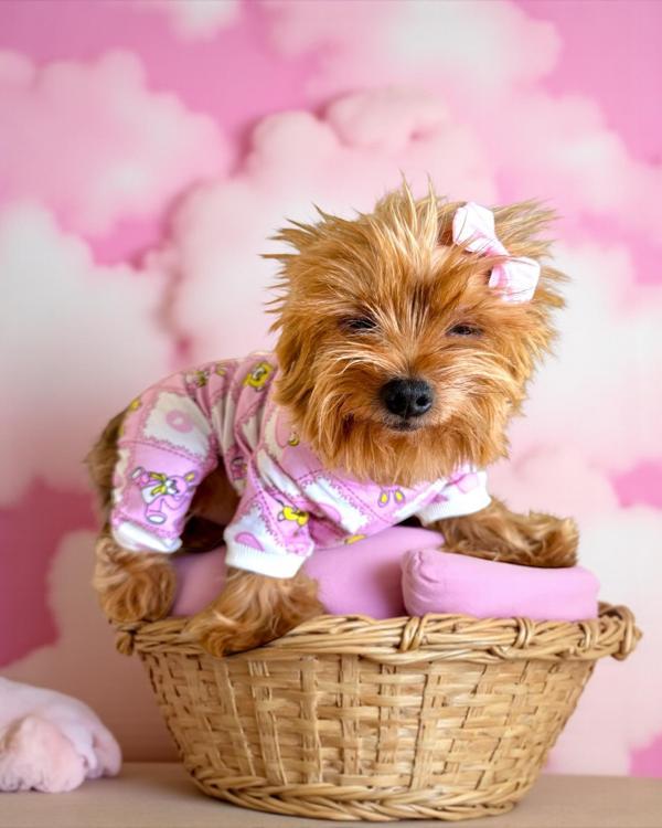 Teddy Toad Penye Köpek Tulum Pijama - Image 1