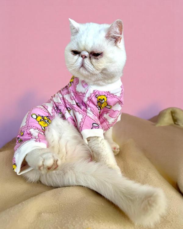 Teddy Toad Penye Kedi Tulum Pijama - Image 1