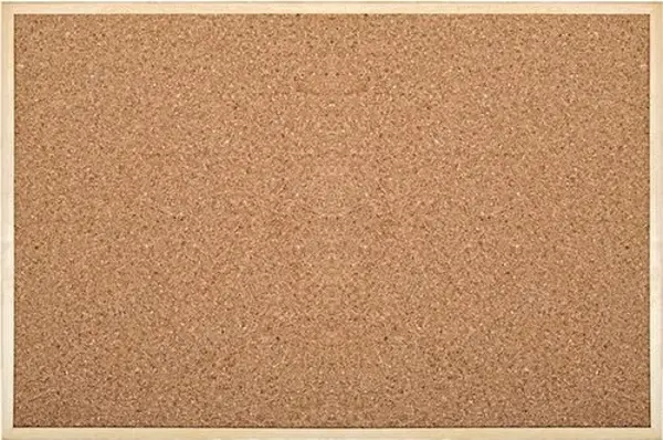 Simge Mantar Pano 30X45 Cm 0135 - Image 1
