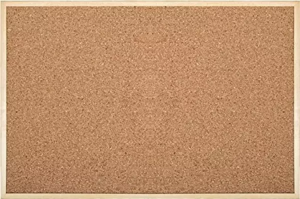 Simge Mantar Pano 45X60 Cm 0136 - Image 1