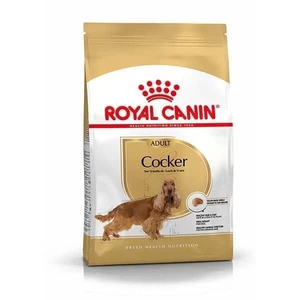 Royal Canin Cocker Adult Yetişkin Köpek Maması 3 Kg - Image 1