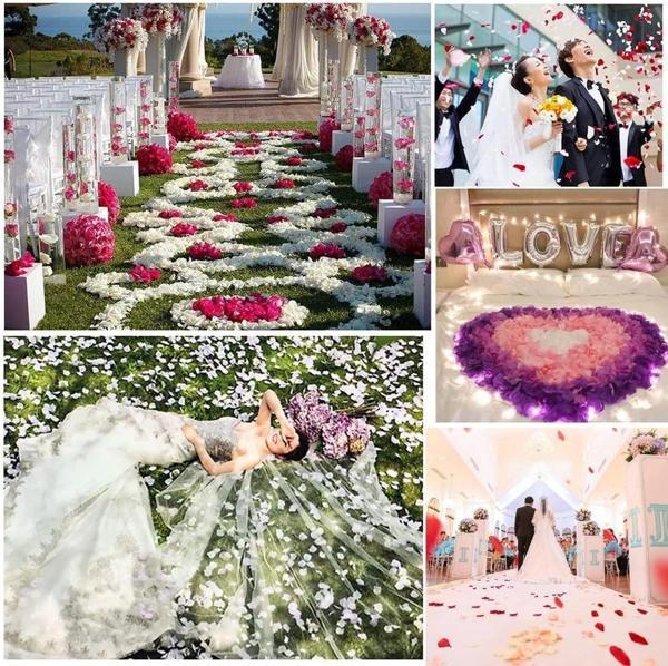 Beyaz Renk Gül Yaprağı Şekilli Konfeti 10 Paket 1000 Adet - Image 1