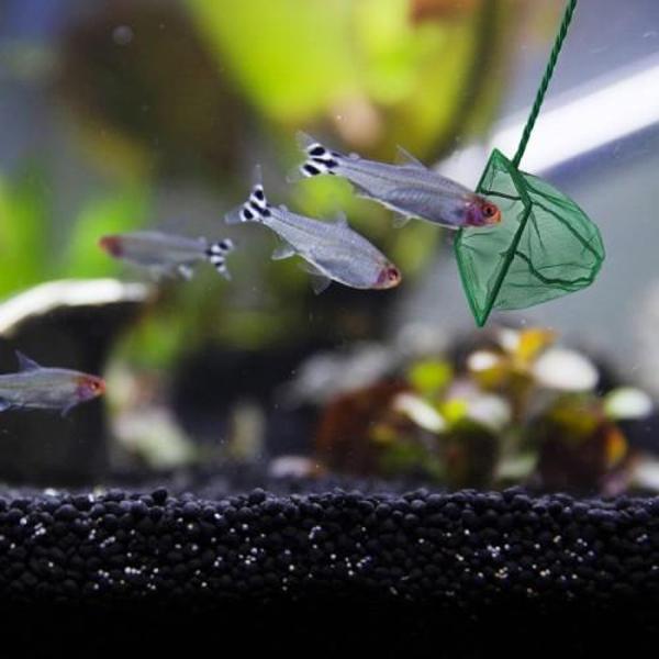 Akvaryum Balık Kepçesi 12 CM - Image 1