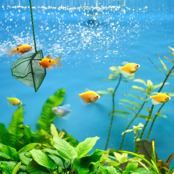 Akvaryum Balık Kepçesi 7.5 Cm. - Image 1