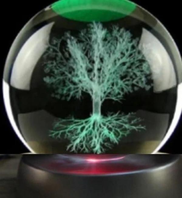 Ağaç Plastik Altlıklı Cam Küre - Image 1