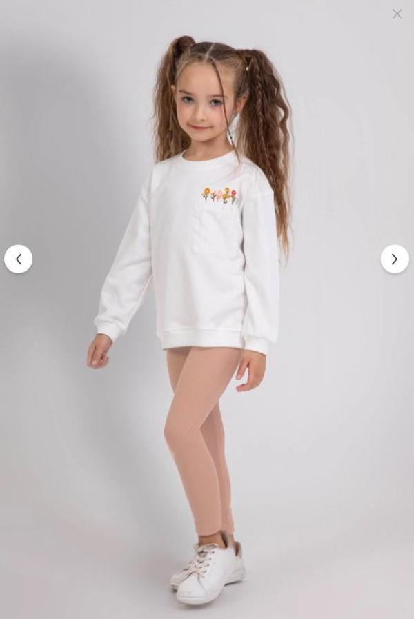 Kız Çocuk Çiçek Nakışlı Sweatshirt ve Basic Tayt Kombini - 2’li Takım 9812 - Image 1
