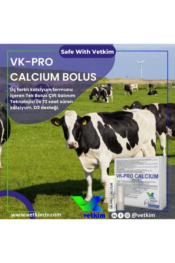 Vetkim Vk-Pro Calcium Bolus - 12 Adet 180 Gr - Image 1