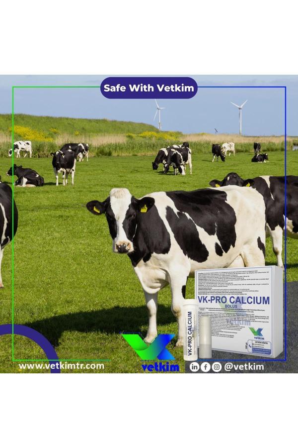 Vetkim Vk-Pro Calcium Bolus - 1 Adet 180 Gr - Image 1