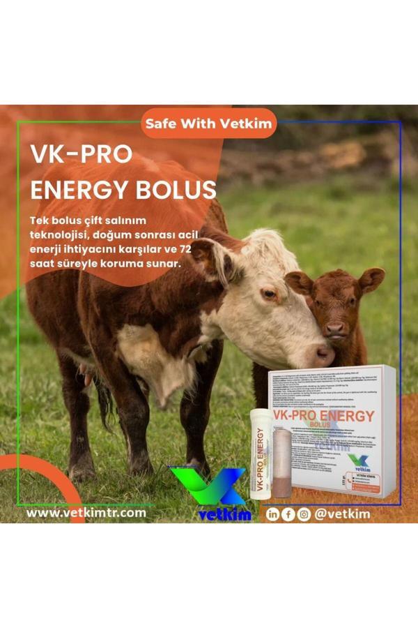 Vetkim Vk-Pro Energy Bolus - 2 Adet 135 Gr - Image 1