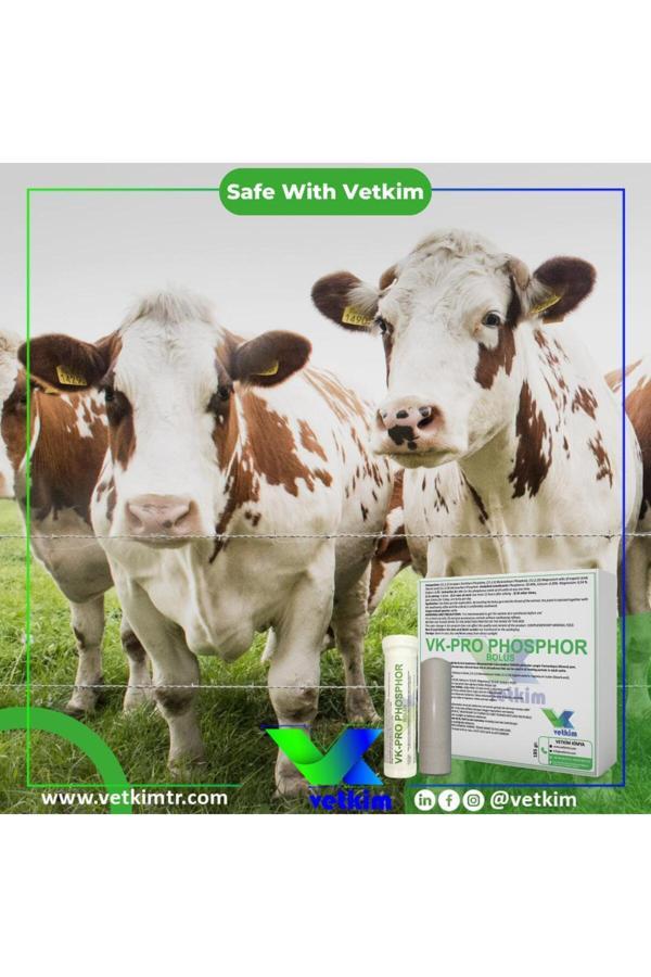 Vetkim Vk-Pro Phosphor Bolus - 1 Adet 185 Gr - Image 1