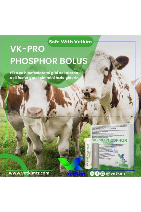 Vetkim Vk-Pro Phosphor Bolus - 12 Adet 185 Gr - Image 1