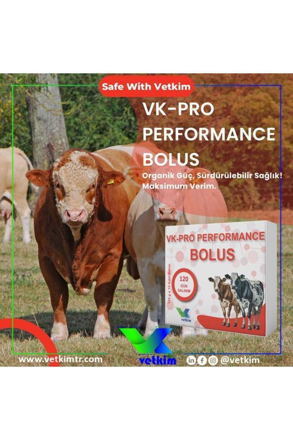 Vetkim Vk-Pro Performance Bolus - 12 Adet 110 Gr - Image 1