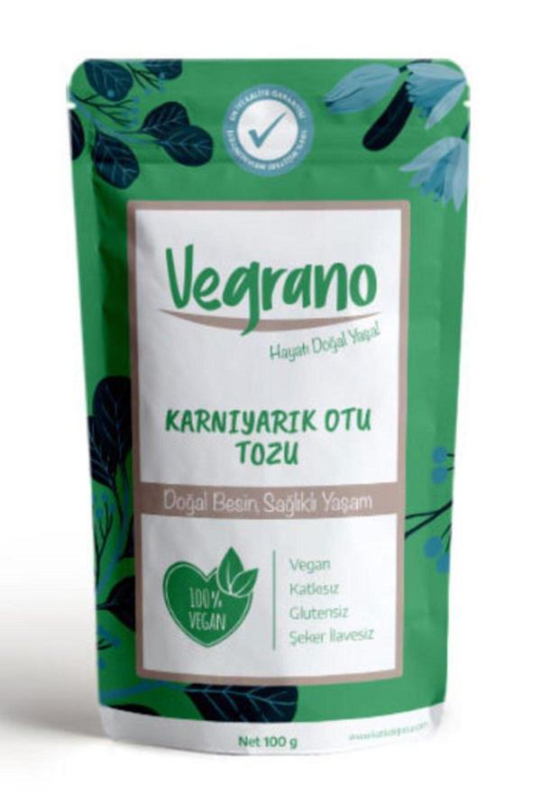Karnıyarık Otu Tozu (Psyllium Tozu) 100 gr - Image 1