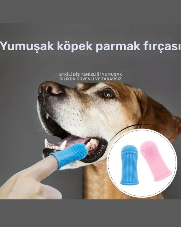 1 Adet - Süper Yumuşak Köpek ve Kedi Parmak Diş Fırçası | Yavru Köpekler ve Küçük Evcil Hayvanlar İçin Nazik Diş Temizleme Aracı | Stoktaki Uygun Renge Göre Gönderilecektir - Image 1