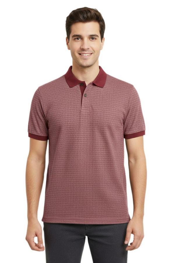 Erkek Polo Yaka Jakarlı T-sıhırt 2063 BGL-ST00533 - Image 1