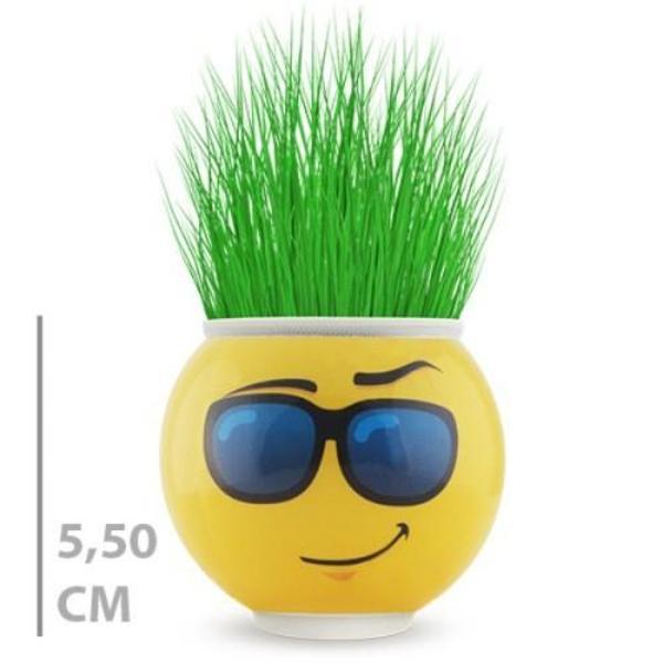 Çim Adam Saksı Emoji Figürlü 1 Adet - Image 1