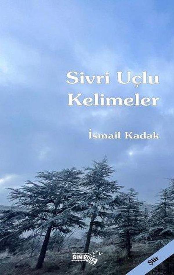 Sivri Uçlu Kelimeler - Sınırsız Kitap - Image 1