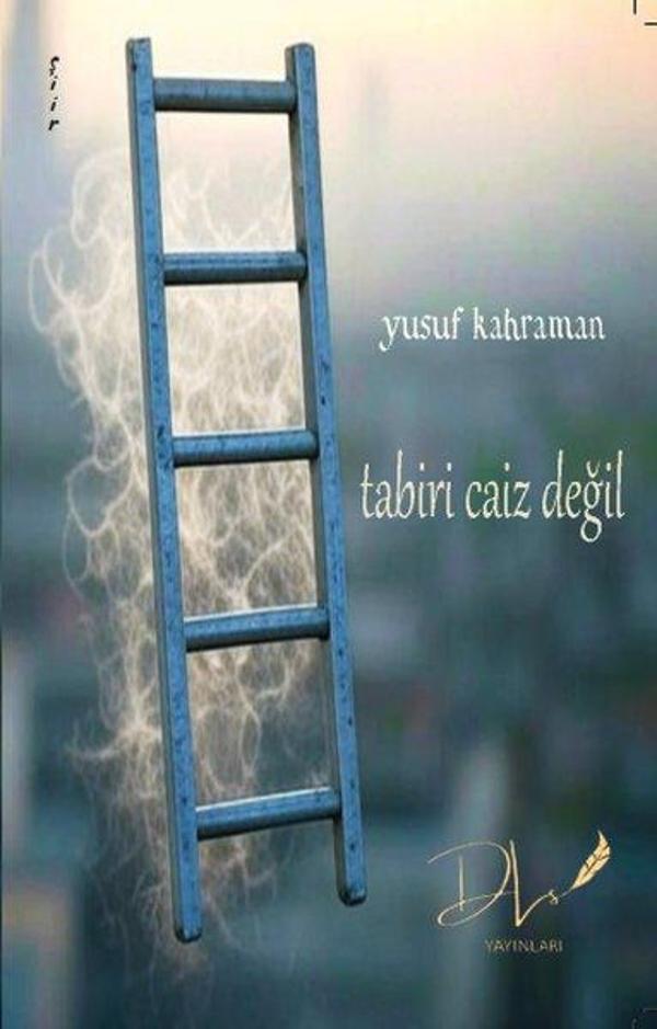 Tabiri Caiz Değil - DLS Yayınları - Image 1