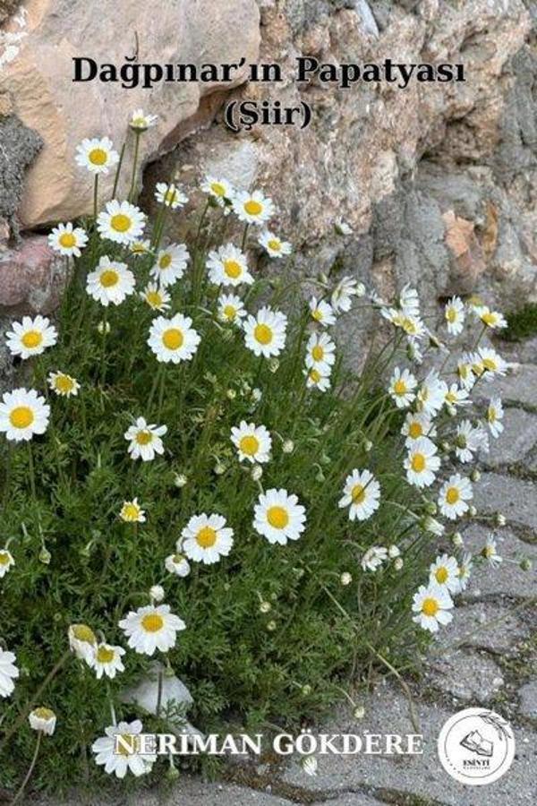 Dağpınar'ın Papatyası - Esinti Yayınları - Image 1