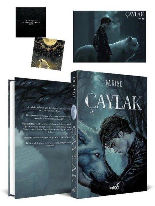Çaylak - İndigo Kitap Yayınevi - Image 1