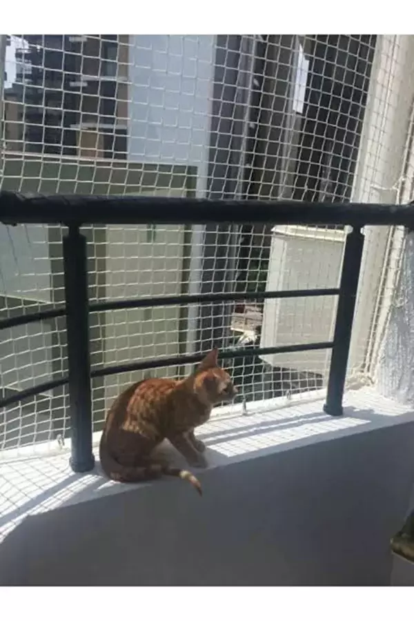 2,50 x 16 mt Balkon Kedi Güvenlik Filesi Kedi Ağı Kalın Balkon Kuş Güvercin Önleme Ağı  - Image 1