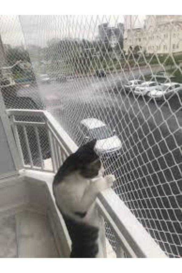 2,50 X 10 Balkon Kedi Koruma Ağı Balkon Kedi Güvenlik Filesi Balkon Kapatma Ağı Kuş Önleme  - Image 1