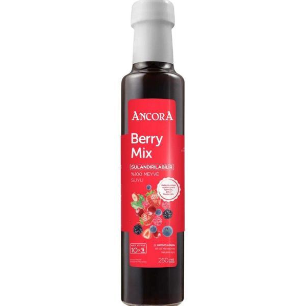 Ancora Sulandırılabilir Meyve Suyu - Berry Mix 250 ml - Image 1