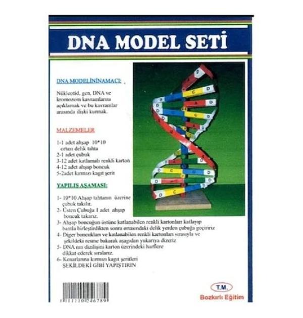 Dna Model Yapım Seti - Image 1
