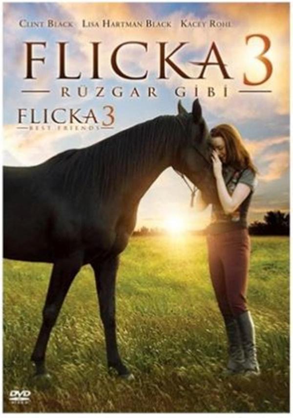 Flicka 3: Rüzgar Gibi - Flicka 3: Country Pride ( Türkçe Altyazı ) ( Ambalajında - Sıfır ) DVD - Image 1