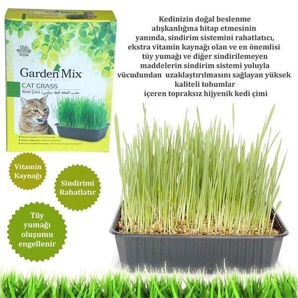 Garden Mix Kedi Çimi - Image 1