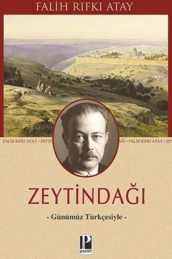 Zeytindağı - Günümüz Türkçesiyle - Pozitif Yayıncılık - Image 1