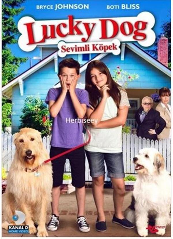 Sevimli Köpek - Lucky Dog ( Türkçe Dublaj ) ( Ambalajında - Sıfır ) DVD - Image 1