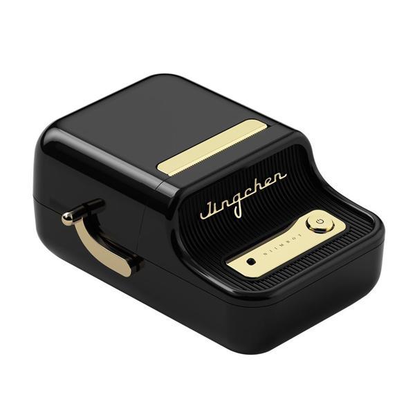 Niimbot B21 Pro Bluetooth Taşınabilir Termal Etiket Yazıcı - Siyah (300DPI) - Image 1