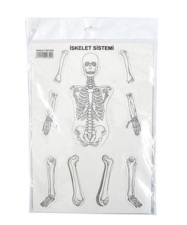 Karton İskelet Sistemi - 3 adet - Image 1