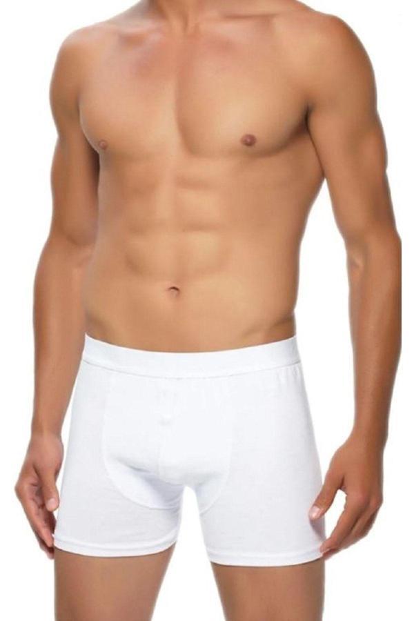 Gümüş 3'Lü Erkek Boxser - Image 1