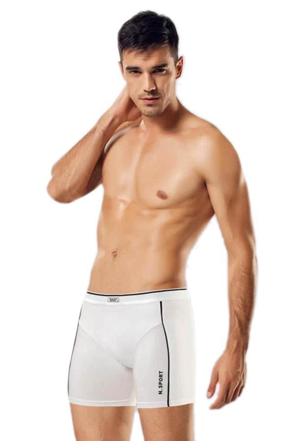 Namaldı Erkek Beyaz Boxer - Image 1