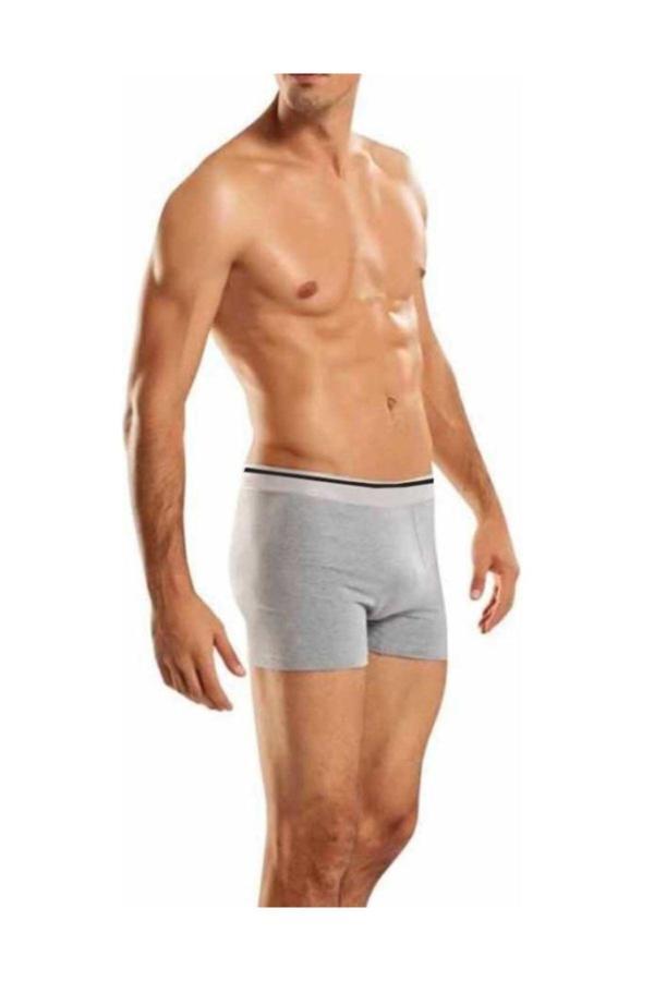 Berrak 12 Adet Gri Renk Likralı Boxer - Image 1
