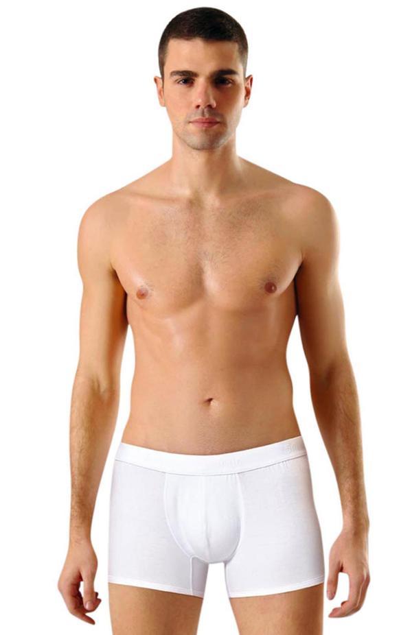 Erkek Boxer Modal - Anıt 1250 - Image 1