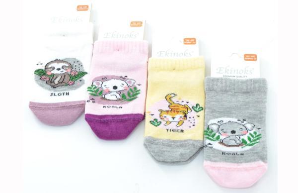 Ekinoks 4 lü Tylra Koala Desenli Kız Çocuk Patik Çorap - Image 1