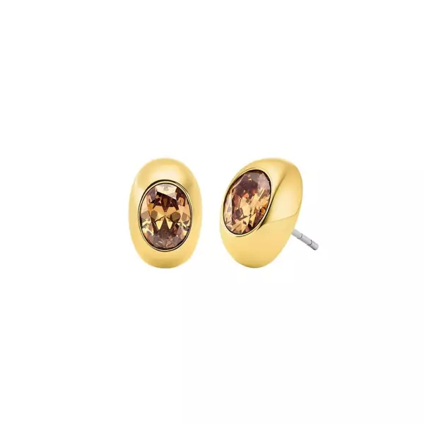 Michael Kors MKJ8555-710 Kadın Küpe - Image 1