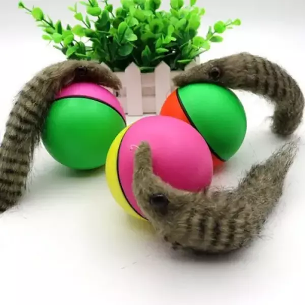 Hareketli Rakun Kedi Köpek Oyuncak - Image 1