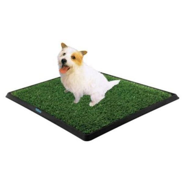 Köpek Tuvalet Eğitim Seti - Image 1