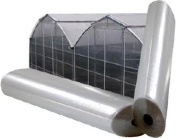 36 AYLIK 350 MİCRON SERA NAYLONU 12m X 25m - Image 1