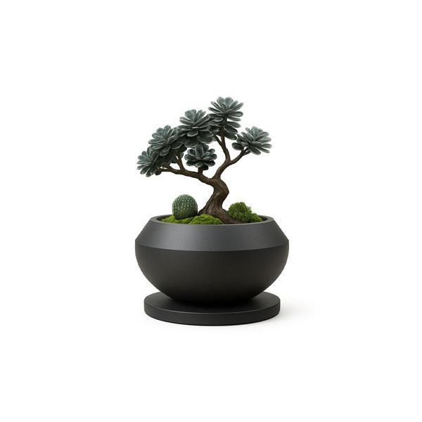Dekoratif Bonsai Saksı - Image 1
