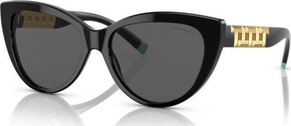 Tiffany & Co 0TF4196 8001S456 Kadın Güneş Gözlüğü - Image 1