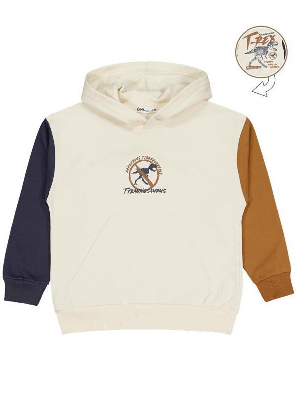 Civil Boys T Rex Baskılı Kapşonlu 6-9 Yaş Sweatshirt - Gri6-7 Yaş - Image 1