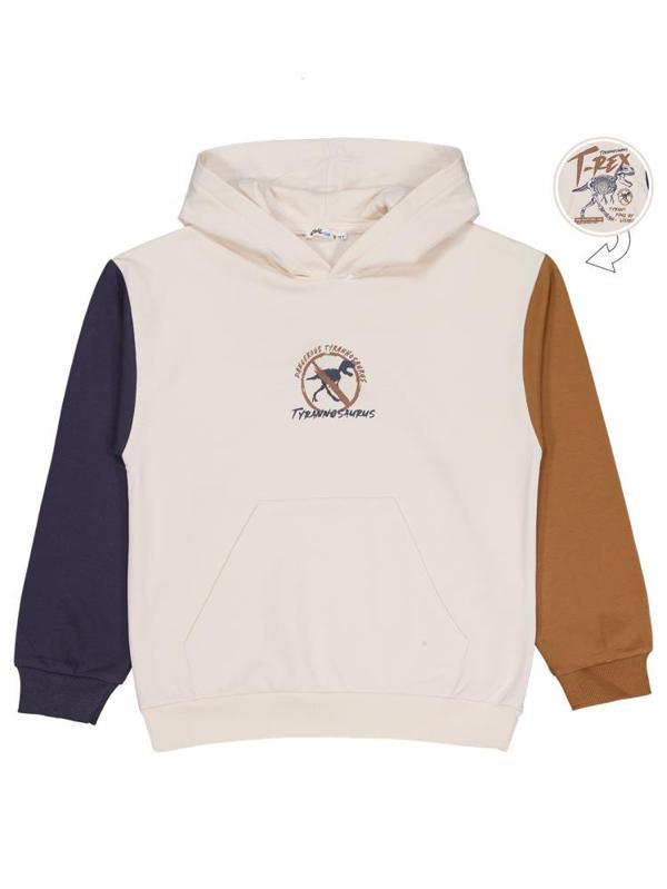 Civil Boys T Rex Baskılı Kapşonlu 10-13 Yaş Sweatshirt - Gri11-12 Yaş - Image 1