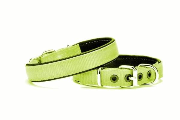Yumuşak Doku Köpek Boyun Tasması 2/45 cm Yeşil - Image 1