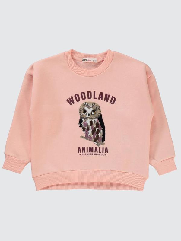 Civil Girls Pullu Baykuş Baskılı 2-5 Yaş Sweatshirt - Pudra3-4 Yaş - Image 1