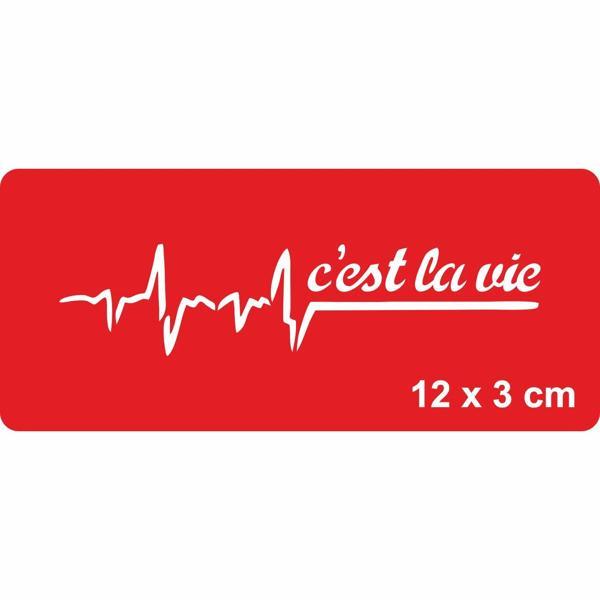 Hayat Budur!(Fransızca) Tattoo Geçici Dövme Şablonları Kına Kalıpları - Image 1